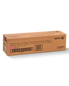 Fotorreceptor Xerox Magenta 51K - 013R00659NO