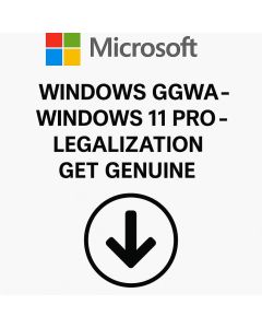 Microsoft Windows 11 Pro GGWA LGG Perpétuo CSP - DG7GMGF0L4TL-003